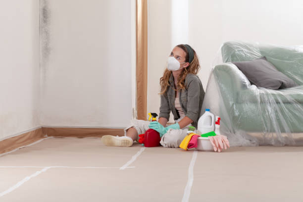 Trusted Black Mold Removal service in Friendship, MD - WQB Mold Removal